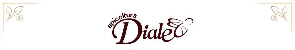 logo diale